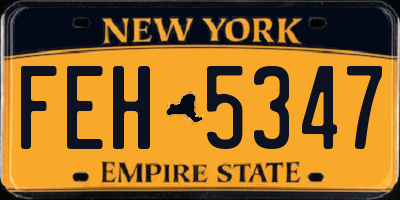 NY license plate FEH5347