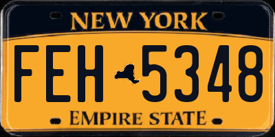 NY license plate FEH5348