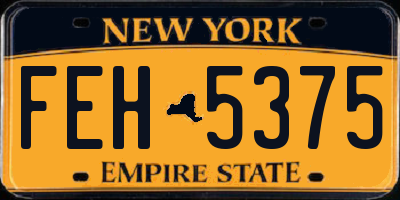 NY license plate FEH5375