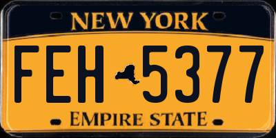 NY license plate FEH5377