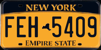 NY license plate FEH5409