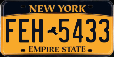 NY license plate FEH5433