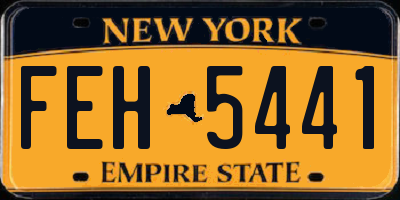 NY license plate FEH5441