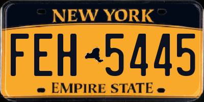 NY license plate FEH5445