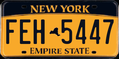 NY license plate FEH5447