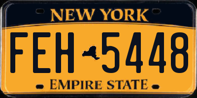 NY license plate FEH5448