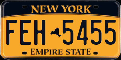 NY license plate FEH5455