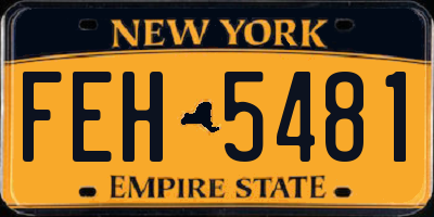 NY license plate FEH5481
