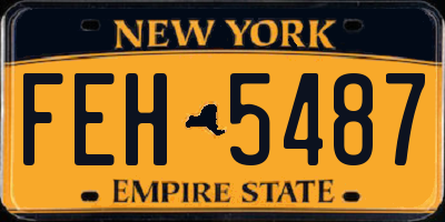 NY license plate FEH5487