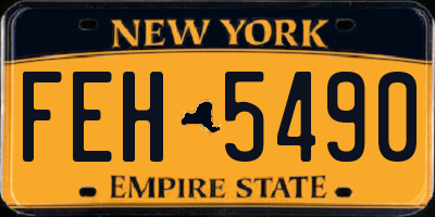 NY license plate FEH5490