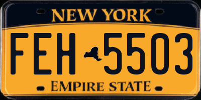 NY license plate FEH5503