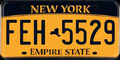 NY license plate FEH5529
