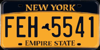 NY license plate FEH5541