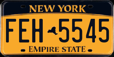 NY license plate FEH5545