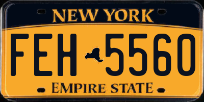 NY license plate FEH5560