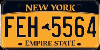 NY license plate FEH5564