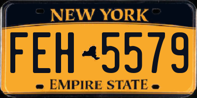 NY license plate FEH5579