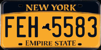 NY license plate FEH5583