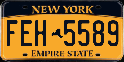 NY license plate FEH5589
