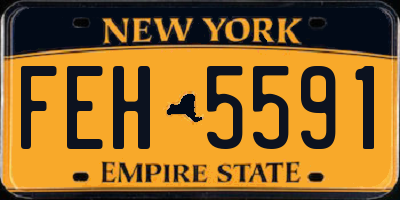 NY license plate FEH5591