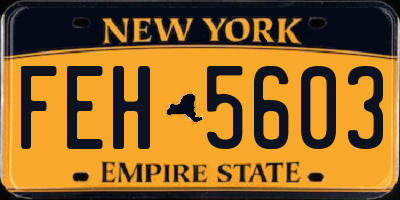 NY license plate FEH5603