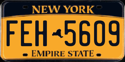NY license plate FEH5609