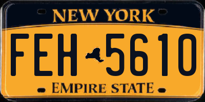 NY license plate FEH5610