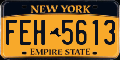 NY license plate FEH5613