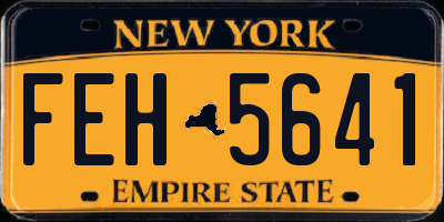 NY license plate FEH5641