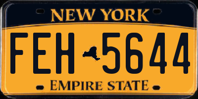 NY license plate FEH5644