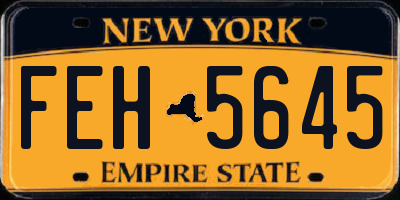 NY license plate FEH5645