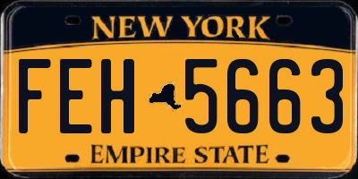 NY license plate FEH5663