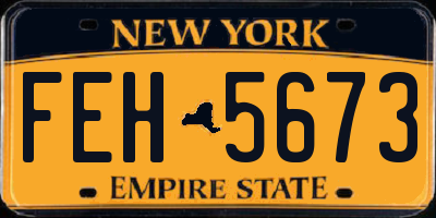 NY license plate FEH5673