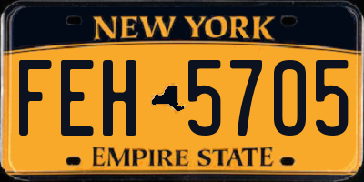 NY license plate FEH5705