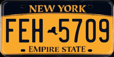 NY license plate FEH5709