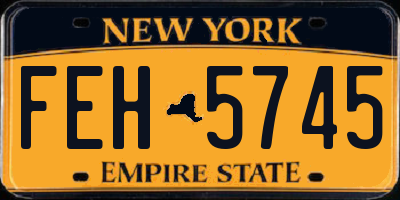 NY license plate FEH5745