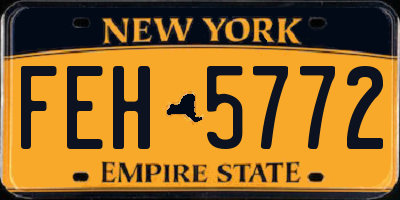 NY license plate FEH5772
