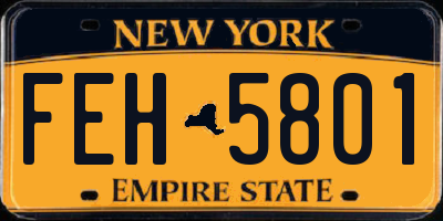 NY license plate FEH5801