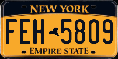 NY license plate FEH5809