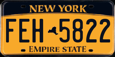 NY license plate FEH5822
