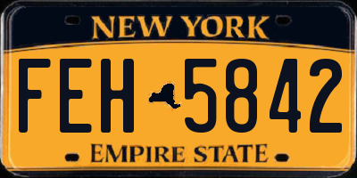 NY license plate FEH5842