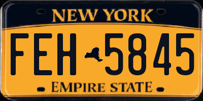 NY license plate FEH5845
