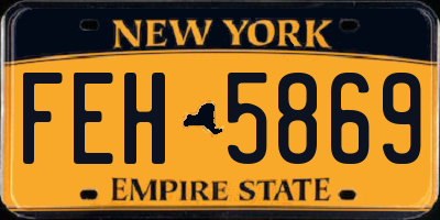NY license plate FEH5869