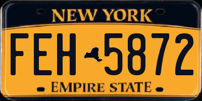 NY license plate FEH5872