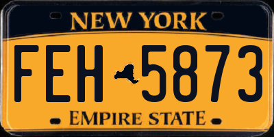 NY license plate FEH5873