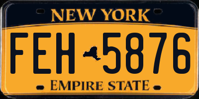 NY license plate FEH5876