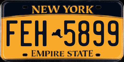 NY license plate FEH5899
