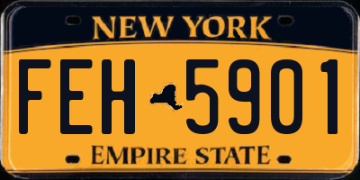 NY license plate FEH5901