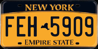 NY license plate FEH5909