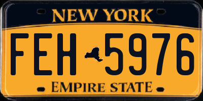 NY license plate FEH5976